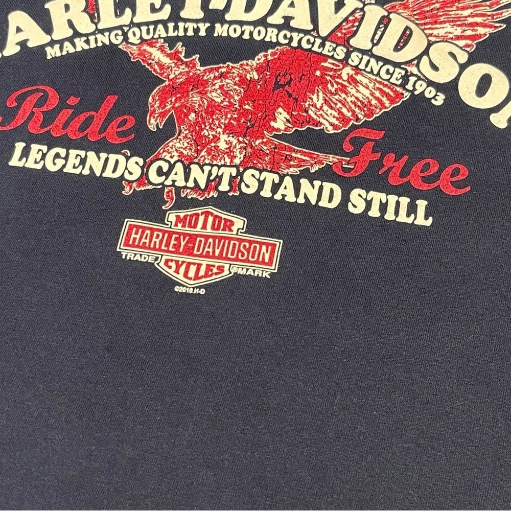 Vintage Harley Davidson Graphic 2010 Biker Grunge T-shirt - Picture 3 of 10